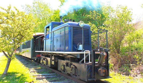 A blue vintage train engine emits smoke while parked beside green trees and grass on a sunny day.