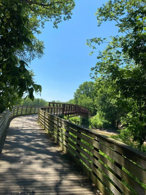 A winding wooden pathway surrounded by lush greenery, leading to a bridge under a clear blue sky.