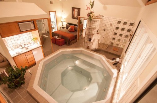 A spacious hotel room featuring a large octagonal hot tub, a bed, kitchenette, and a shower area with plants.