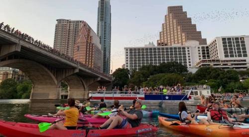 A group of kayakers on a river watching a crowd on a bridge as bats emerge at sunset in an urban setting.