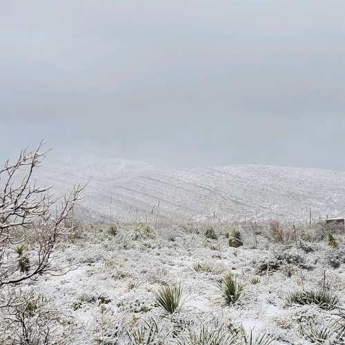 A snowy landscape with rolling hills in the background and sparse vegetation in the foreground under a cloudy sky.