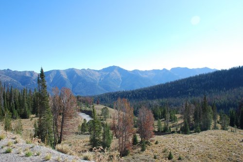 A scenic view of mountains and trees under a clear blue sky, with a winding road in the foreground.