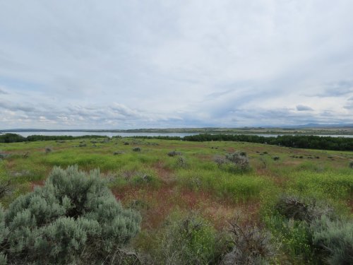 A scenic landscape featuring rolling hills covered in green and red vegetation, with a river and cloudy sky in the background.