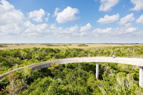 A curved walkway above lush greenery, with a vast landscape and blue sky filled with clouds in the background.
