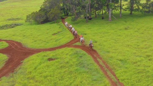 A group of horseback riders travels along a dirt path through lush green fields.