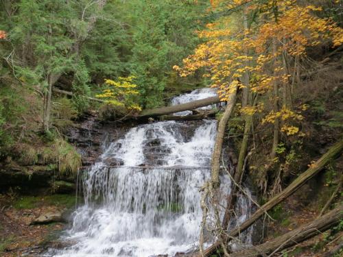 A serene waterfall cascades over rocks, surrounded by lush greenery and autumn-colored leaves.