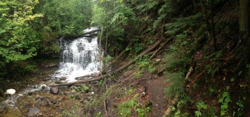 A serene waterfall cascades over rocks, surrounded by lush green trees and foliage in a tranquil forest setting.
