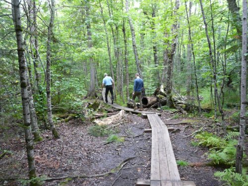 Two people walk along a wooden path through a lush, green forest with trees and underbrush surrounding them.