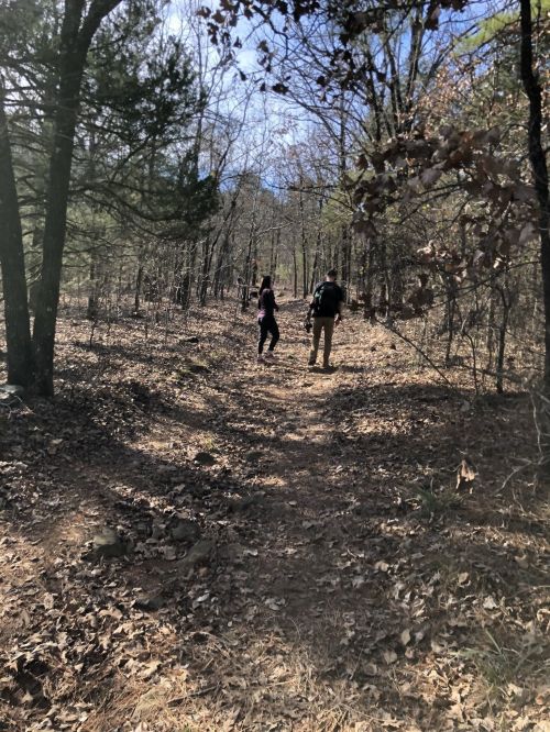 Two hikers walking on a leaf-covered trail through a wooded area on a sunny day.