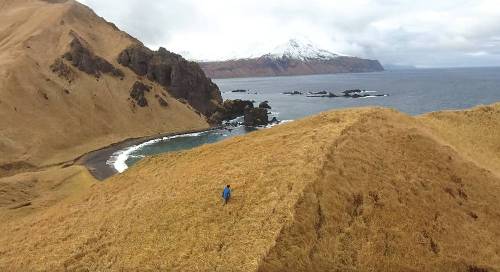 A person in a blue jacket walks on a grassy hill overlooking a rocky coastline and snowy mountains in the distance.