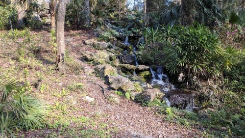 A serene landscape featuring a small waterfall cascading over rocks, surrounded by lush greenery and palm plants.