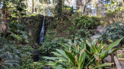 A serene waterfall cascades into a lush, green pool surrounded by tropical plants and trees.