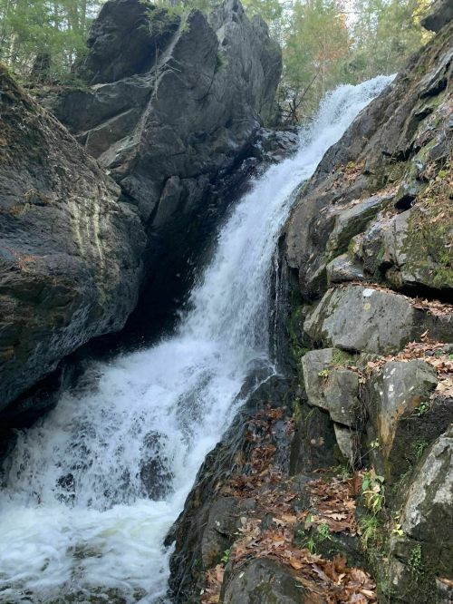 A cascading waterfall flows over rocky terrain, surrounded by lush greenery and autumn leaves.