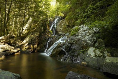 A serene waterfall cascading over rocks into a calm pool, surrounded by lush green trees and sunlight filtering through.