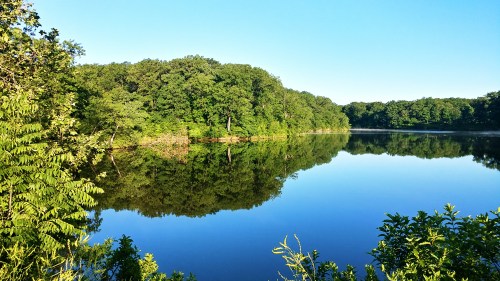 A serene lake surrounded by lush green trees, reflecting the clear blue sky and vibrant foliage.