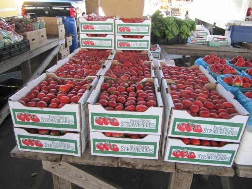 Boxes of fresh strawberries stacked on a wooden table at a market, surrounded by other produce.