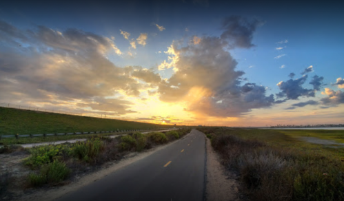 A scenic pathway lined with greenery under a vibrant sunset and dramatic clouds.