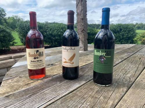 Three bottles of wine on a wooden table outdoors, with a scenic background of greenery and cloudy skies.