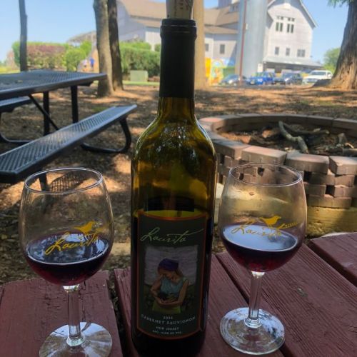 A bottle of Cabernet Sauvignon with two glasses of red wine on a picnic table in a scenic outdoor setting.