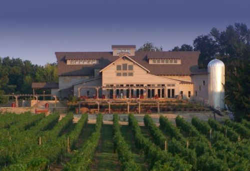 A scenic vineyard with a large wooden building and a silvery silo, surrounded by lush green grapevines.