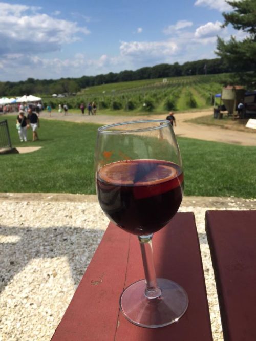 A glass of red wine sits on a table, overlooking a vineyard and a sunny outdoor event with people in the background.