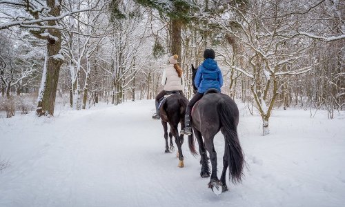 Two riders on horseback walk through a snowy forest path, surrounded by trees and a winter landscape.