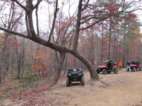 Two ATVs parked on a dirt path surrounded by autumn trees with colorful leaves. A large tree leans over the path.