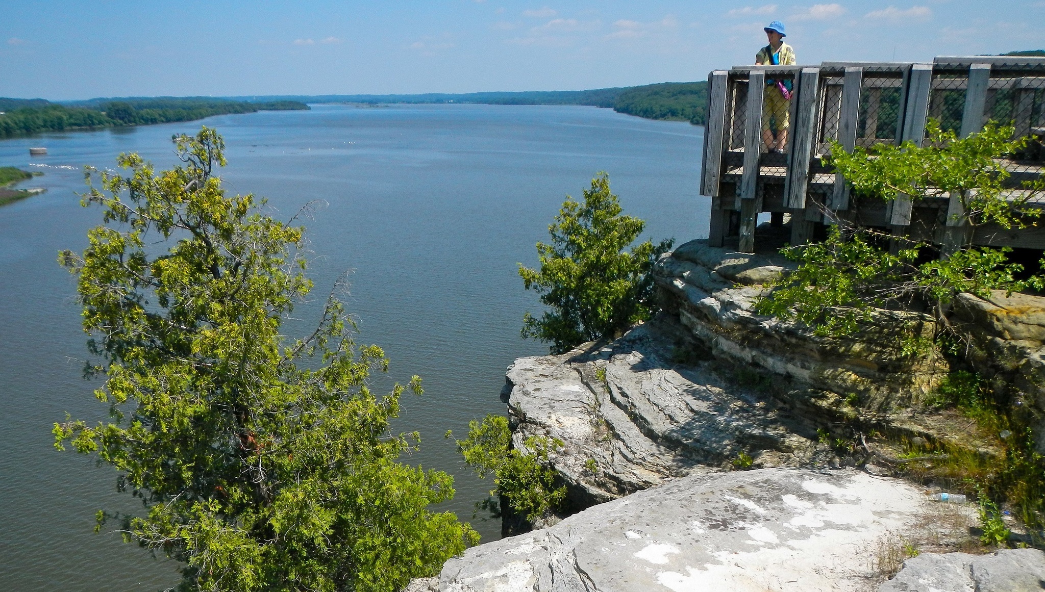 ILLINOIS EXPERIENCES visual data 3