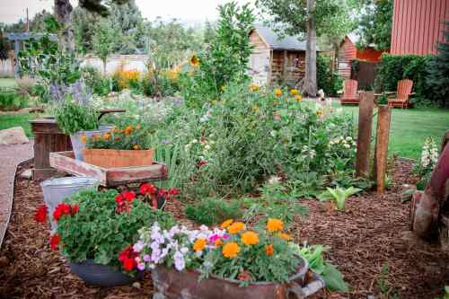 A vibrant garden with colorful flowers in pots, surrounded by greenery and rustic wooden structures in the background.