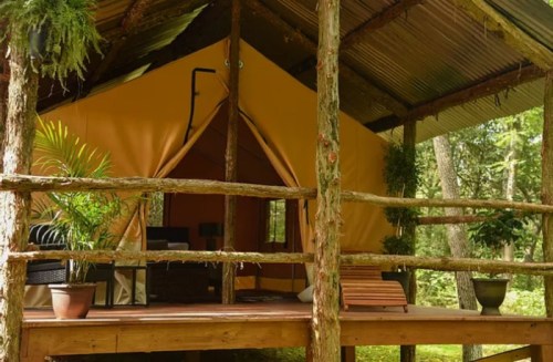 A cozy glamping tent on a wooden deck, surrounded by trees and greenery.