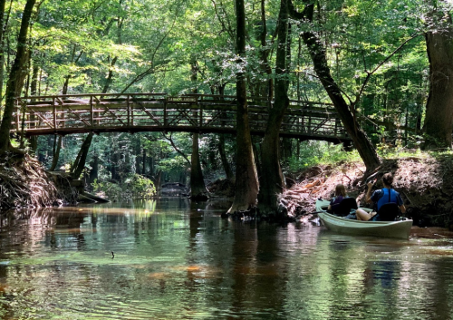 Two people paddle a canoe under a wooden bridge in a lush, green forest by a calm, reflective river.
