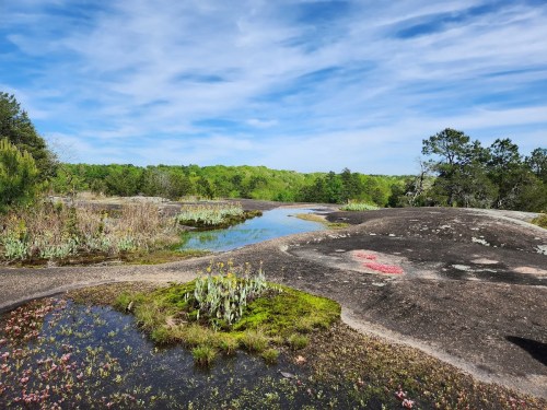 A serene landscape featuring a rocky area with a small pond, surrounded by greenery and blue skies.