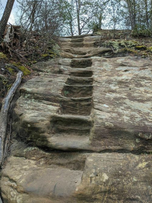 Rocky staircase carved into a hillside, surrounded by trees and moss, leading upward through a natural landscape.