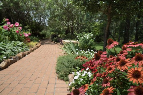 A winding brick path through a lush garden filled with colorful flowers and greenery on a sunny day.