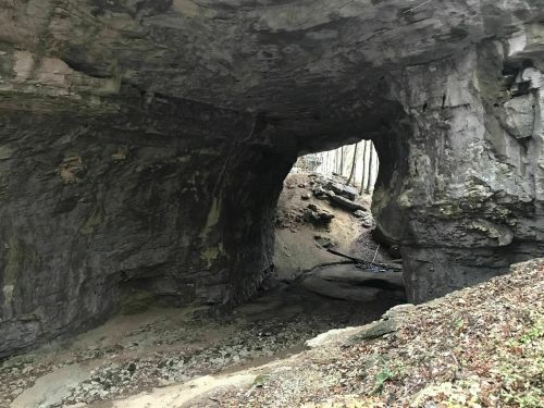 A rocky cave entrance surrounded by trees and earthy terrain, leading into a dark interior.