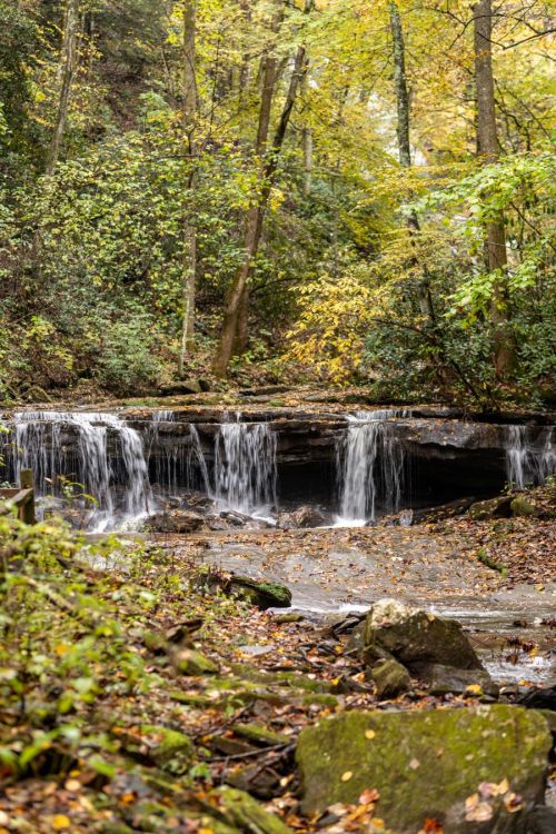 A serene waterfall cascades over rocks, surrounded by vibrant autumn foliage in a tranquil forest setting.