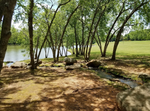 A serene park scene with trees by a calm lake, rocks, and a grassy area under bright sunlight.