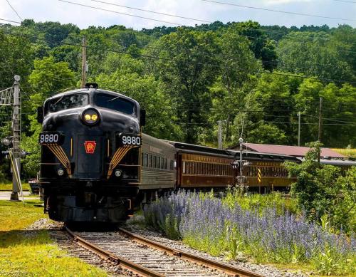 A vintage black train approaches a station, surrounded by lush greenery and blooming flowers along the tracks.