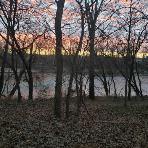 Silhouetted trees against a colorful sunset over a river, with a serene landscape in the foreground.