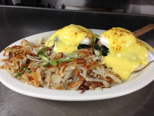 Two eggs Benedict with poached eggs and hollandaise sauce on English muffins, served with crispy hash browns.