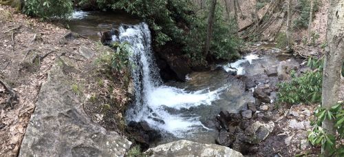 A serene waterfall cascades over rocks, surrounded by lush greenery and fallen leaves in a tranquil forest setting.
