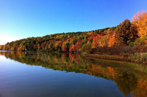 A serene lake reflecting vibrant autumn foliage under a clear blue sky.