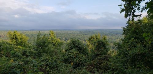 A panoramic view of lush green trees and rolling hills under a cloudy sky.