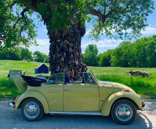 A yellow convertible car parked beside a large tree adorned with shoes, set in a green, open landscape.