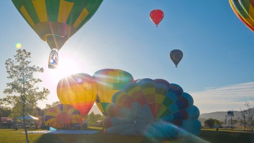 Colorful hot air balloons rise against a clear blue sky, with the sun shining brightly in the background.