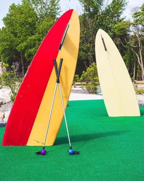 Two surfboards, one red and one yellow, stand upright on green turf, with two golf clubs leaning against them.