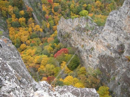 Aerial view of a rocky cliff overlooking a vibrant forest with autumn foliage in shades of orange, red, and yellow.
