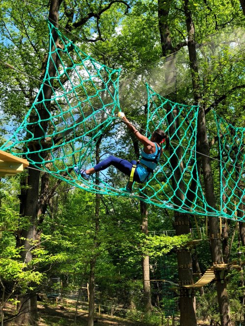 A person in blue climbing gear navigates a rope net high in the trees, surrounded by lush green foliage.