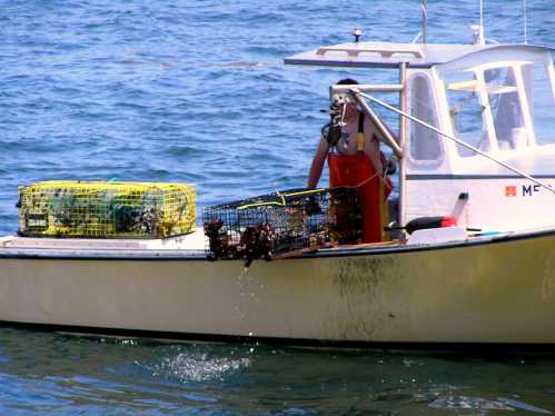 A fisherman on a boat, surrounded by crab traps, working on the water with a sunny backdrop.