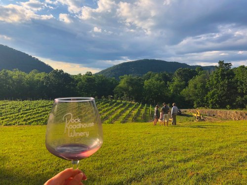 A hand holds a wine glass in front of a vineyard, with people enjoying the view of mountains and clouds in the background.